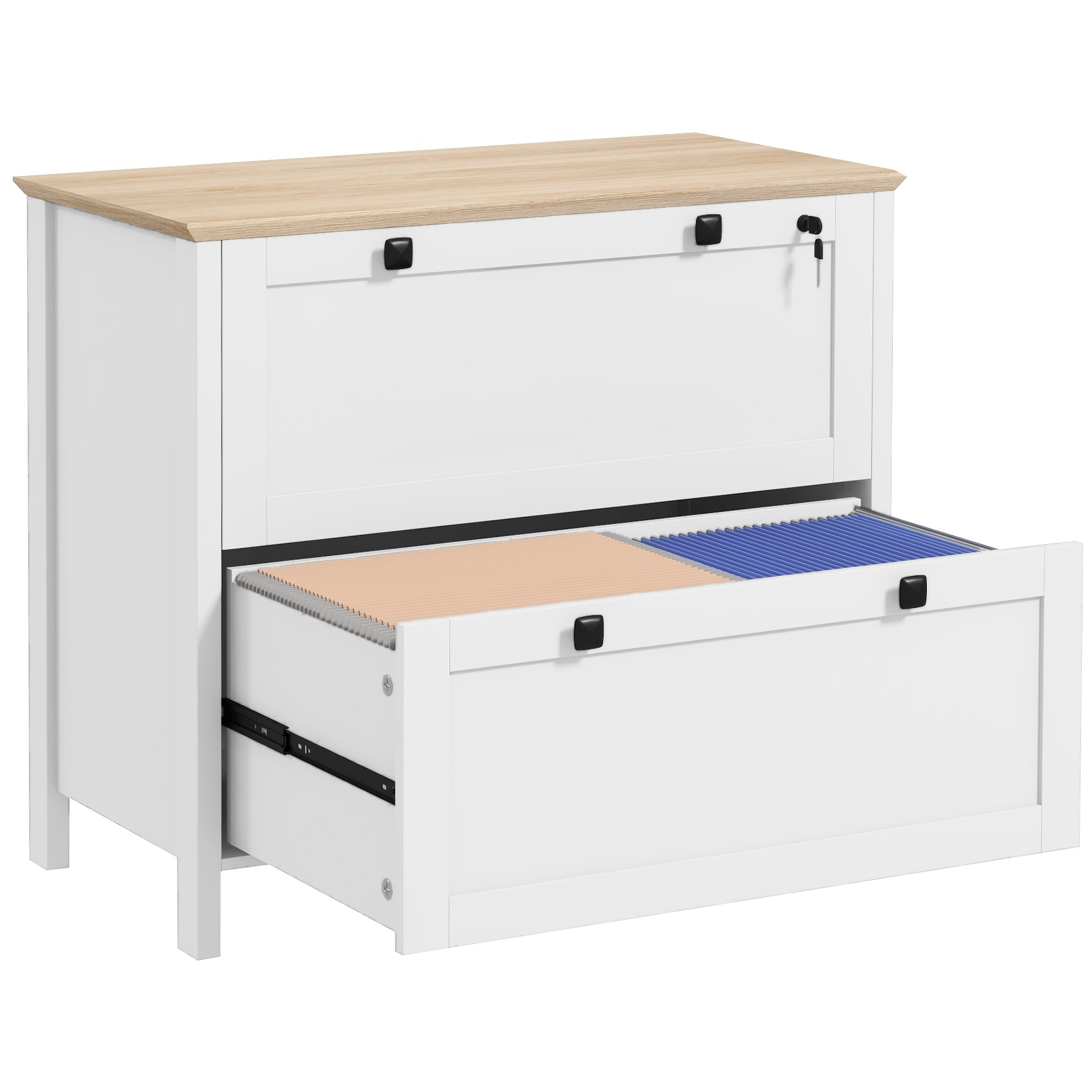 File Cabinet Lateral - Armadietto Portadocumenti a 2 Cassetti con